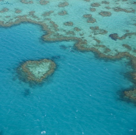 Heart Reef, le coeur de la Grande Barrière de Corail