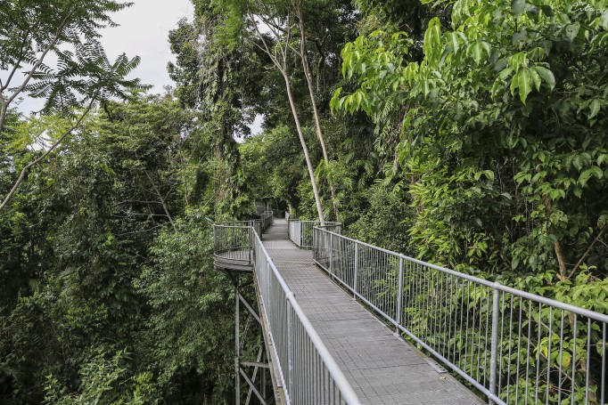 La Mamu Tropical Skywalk rappelle un peu certains décors de Jurassik Park